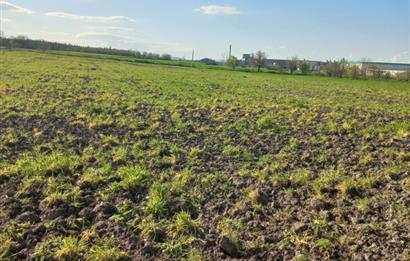 C.21 LOCA ALTIEYLÜL PAŞAKÖY MAH.SATILIK 4664 M2 FIRSAT ARSA