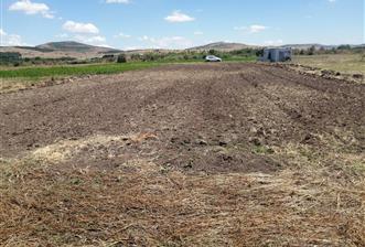 C21 BAL'DAN KARESİ KOCAAVŞAR MAH.DE SATILIK 1177 M2 TARLA - 1 - 33314