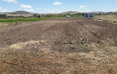 C21 BAL'DAN KARESİ KOCAAVŞAR MAH.DE SATILIK 1177 M2 TARLA