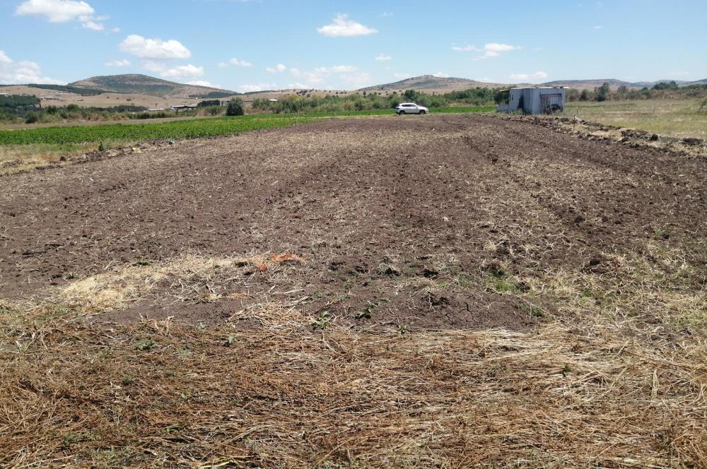 C21 BAL'DAN KARESİ KOCAAVŞAR MAH.DE SATILIK 1177 M2 TARLA