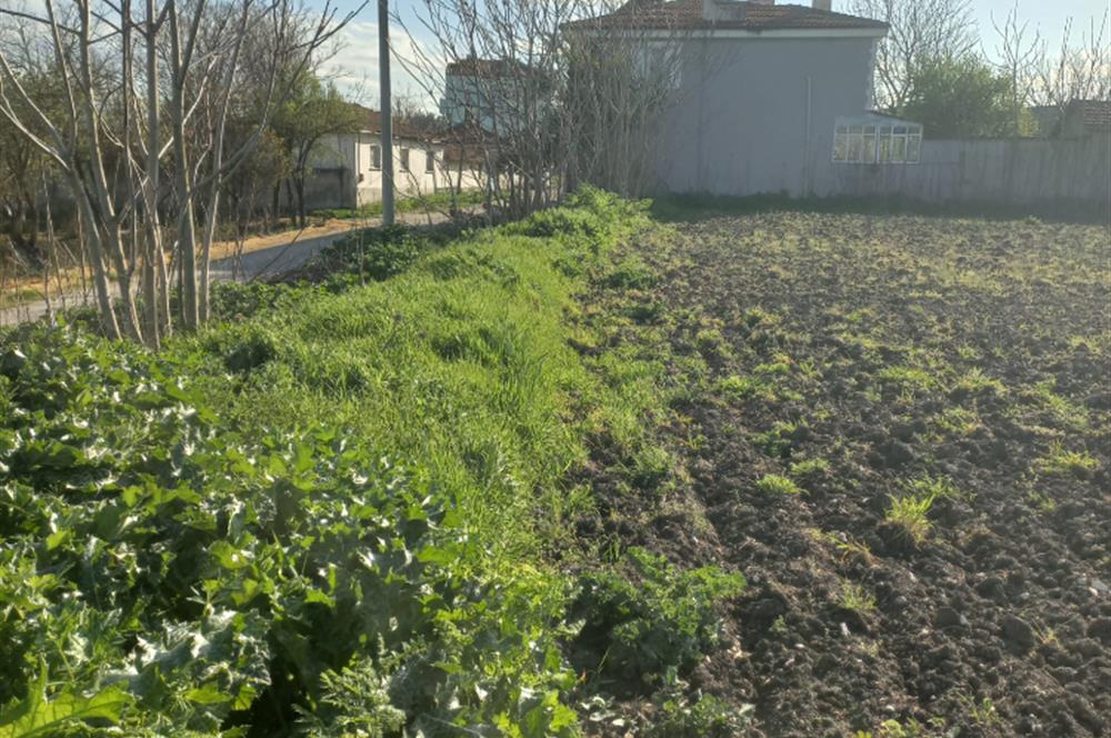 C.21 LOCA ALTIEYLÜL PAŞAKÖY MAH.SATILIK 4664 M2 FIRSAT ARSA