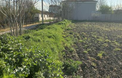 C.21 LOCA ALTIEYLÜL PAŞAKÖY MAH.SATILIK 4664 M2 FIRSAT ARSA