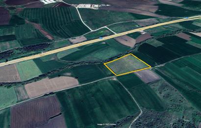 CENTURY 21 BAL SUSURLUK DEMİRKAPI SATILIK TARLA 13 DÖNÜM 