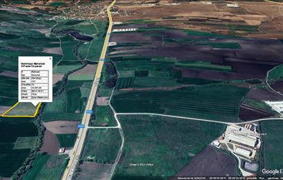 CENTURY 21 BAL SUSURLUK DEMİRKAPI SATILIK TARLA 13 DÖNÜM 