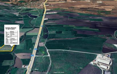 CENTURY 21 BAL SUSURLUK DEMİRKAPI SATILIK TARLA 13 DÖNÜM 