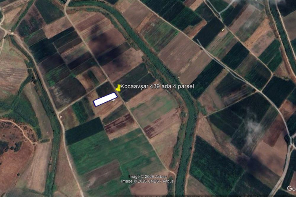 C21 BAL'DAN KARESİ KOCAAVŞAR MAH.DE SATILIK 1177 M2 TARLA