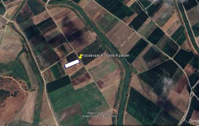 C21 BAL'DAN KARESİ KOCAAVŞAR MAH.DE SATILIK 1177 M2 TARLA