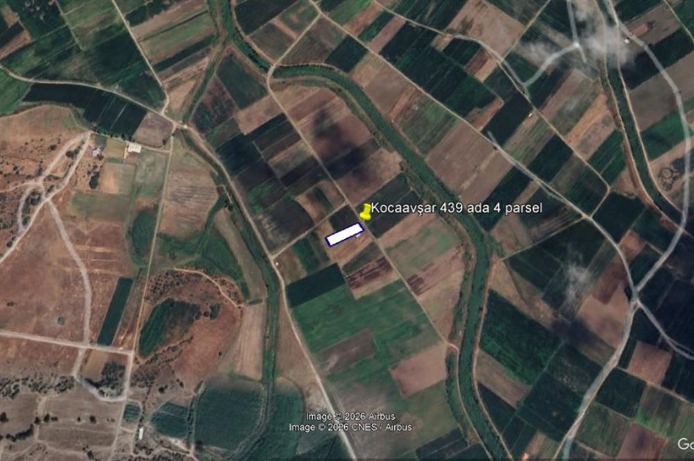 C21 BAL'DAN KARESİ KOCAAVŞAR MAH.DE SATILIK 1177 M2 TARLA