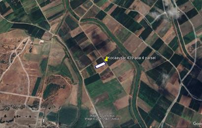 C21 BAL'DAN KARESİ KOCAAVŞAR MAH.DE SATILIK 1177 M2 TARLA