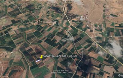 C21 BAL'DAN KARESİ KOCAAVŞAR MAH.DE SATILIK 1177 M2 TARLA