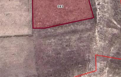 CENTURY21 PLUS'DAN İSCEHİSAR ÇALIŞLAR'DA SATILIK TARLA