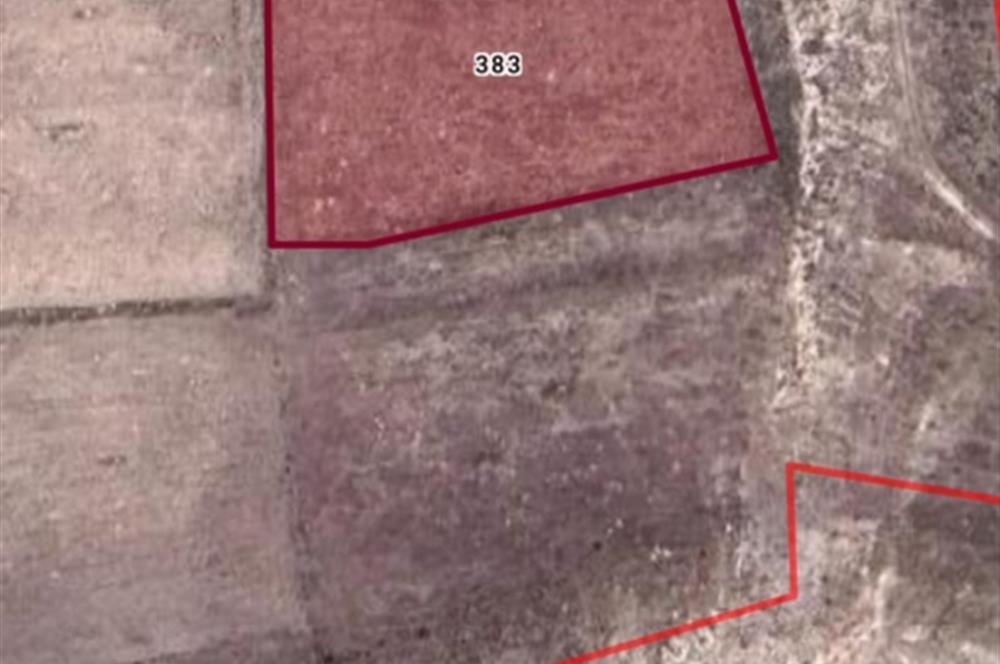 CENTURY21 PLUS'DAN İSCEHİSAR ÇALIŞLAR'DA SATILIK TARLA