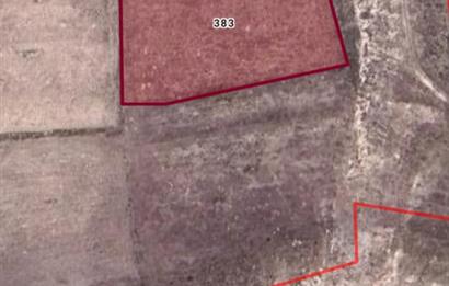 CENTURY21 PLUS'DAN İSCEHİSAR ÇALIŞLAR'DA SATILIK TARLA