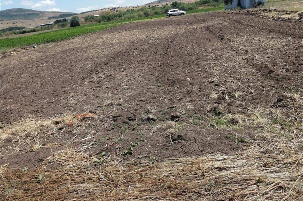 C21 BAL'DAN KARESİ KOCAAVŞAR MAH.DE SATILIK 1177 M2 TARLA