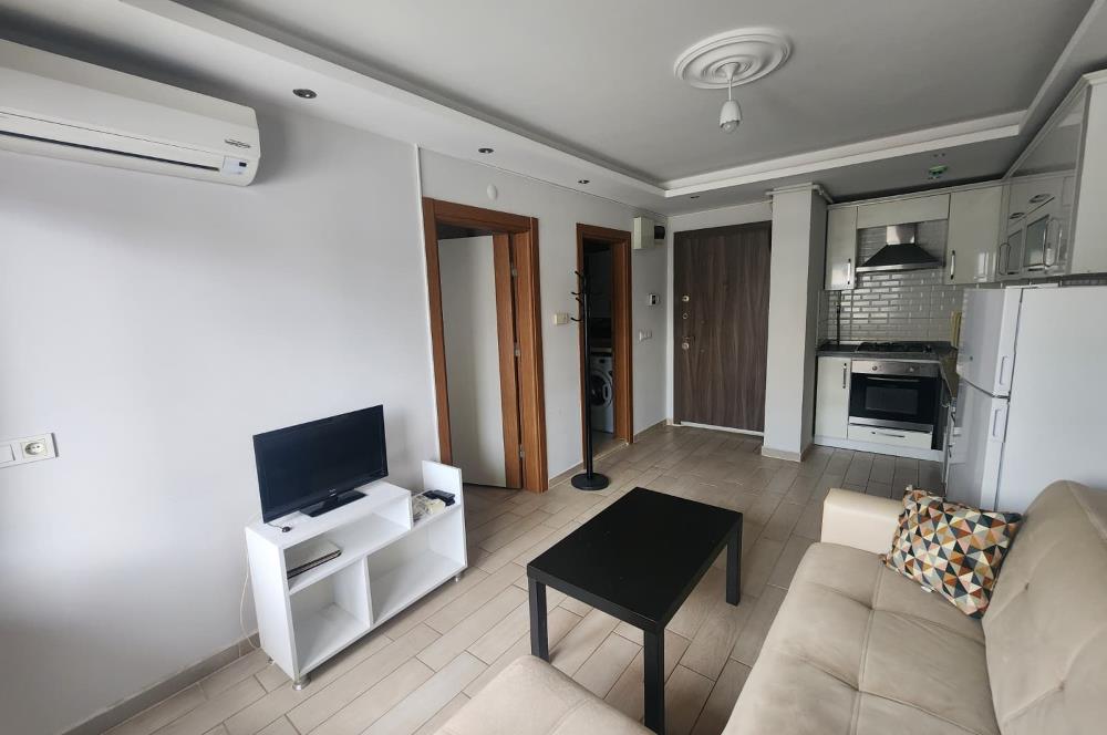 C21 BAL'DAN PLEVNE MH OKUL CADDESİNDE EŞYALI 1+1 KİRALIK DAİRE