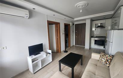 C21 BAL'DAN PLEVNE MH OKUL CADDESİNDE EŞYALI 1+1 KİRALIK DAİRE