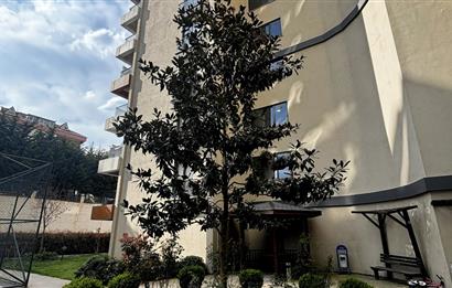 Pendik Velibaba Seven Life Sitesi'nde 3 Cepheli 2+1 Satılık Daire