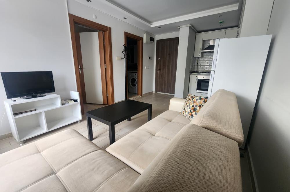 C21 BAL'DAN PLEVNE MH OKUL CADDESİNDE EŞYALI 1+1 KİRALIK DAİRE