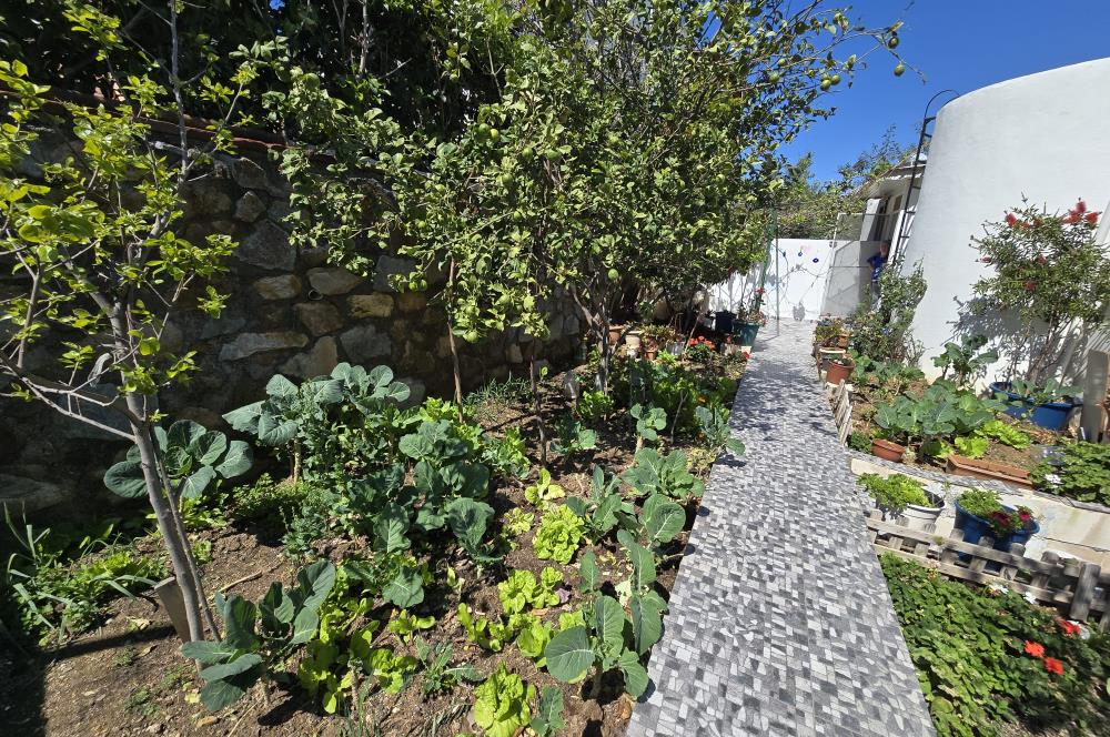 Bodrum Bahçeli Müstakil Ev