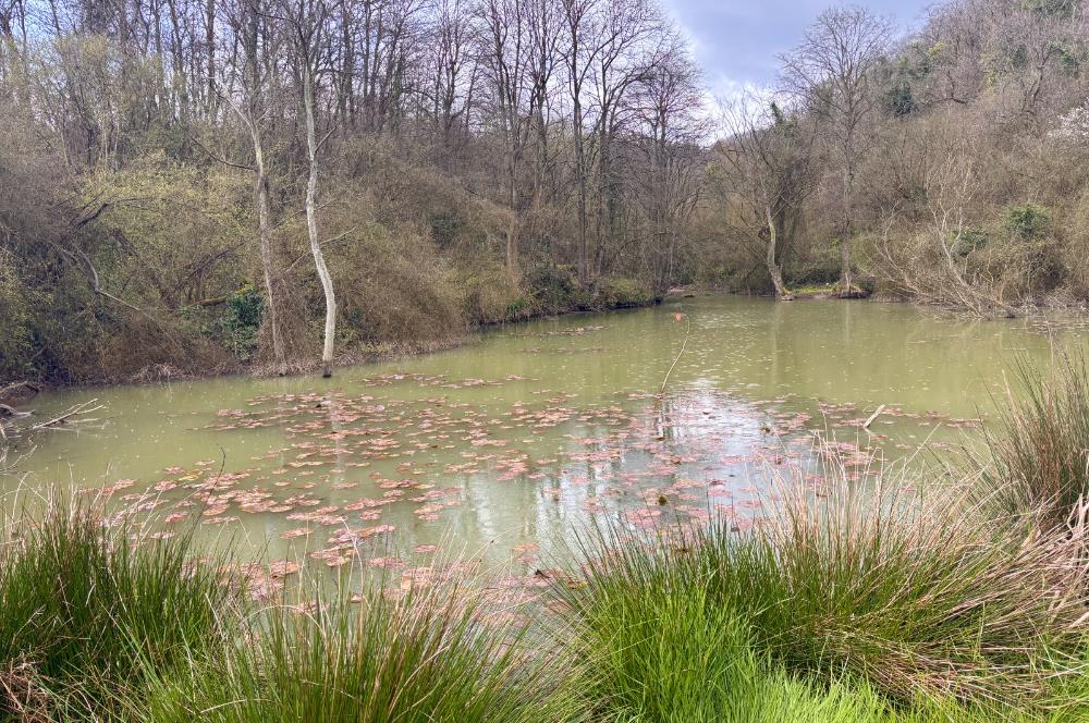 Zekeriyaköy Basın Yayın Sitesi'nde Kaçırılmaz Fırsat