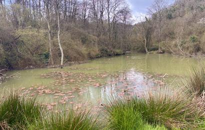 Zekeriyaköy Basın Yayın Sitesi'nde Kaçırılmaz Fırsat