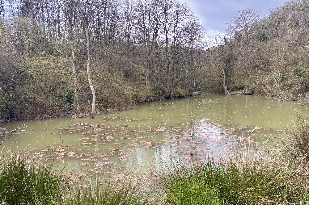 Zekeriyaköy Basın Yayın Sitesi'nde Kaçırılmaz Fırsat 
