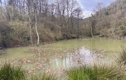 Zekeriyaköy Basın Yayın Sitesi'nde Kaçırılmaz Fırsat 