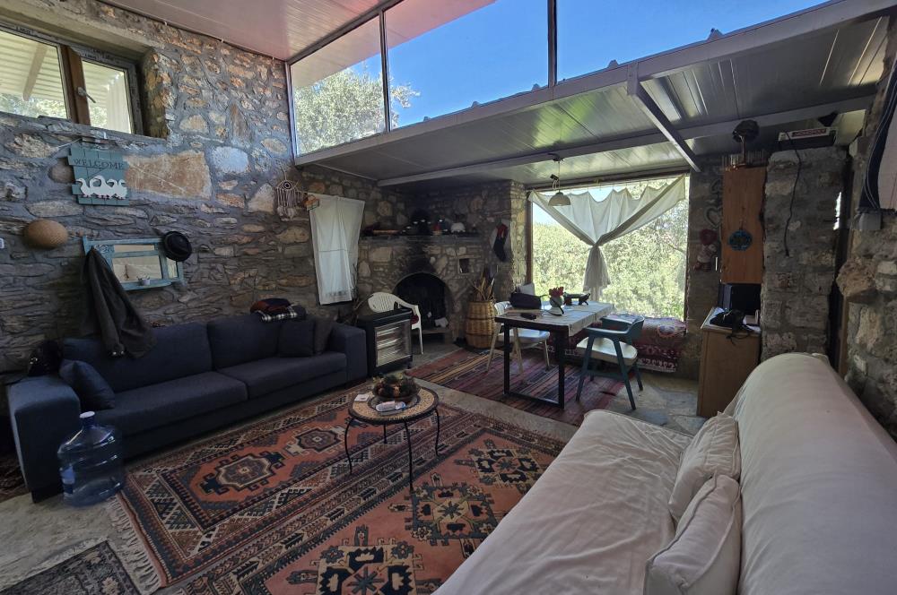 Milas Kuzyaka'da Altyapılı Satılık Yatırımlık Zeytinlik