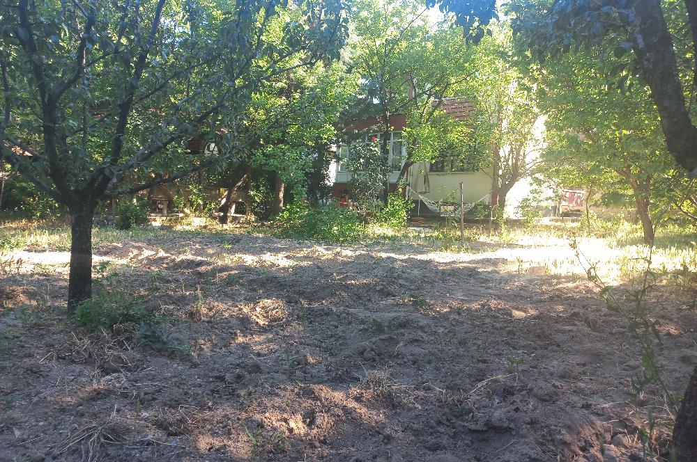 712 m2 ARSA ve MEYVE AĞAÇLARI İÇİNDE 3+1,140m2,DOĞALGAZ KOMBİLİ