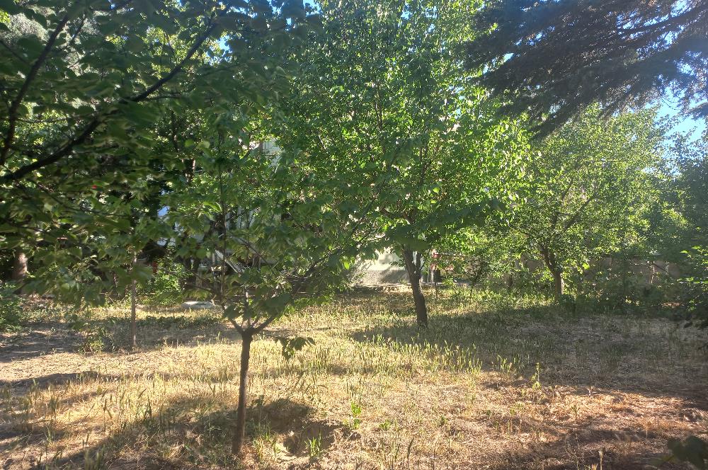 712 m2 ARSA ve MEYVE AĞAÇLARI İÇİNDE 3+1,140m2,DOĞALGAZ KOMBİLİ