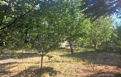 712 m2 ARSA ve MEYVE AĞAÇLARI İÇİNDE 3+1,140m2,DOĞALGAZ KOMBİLİ