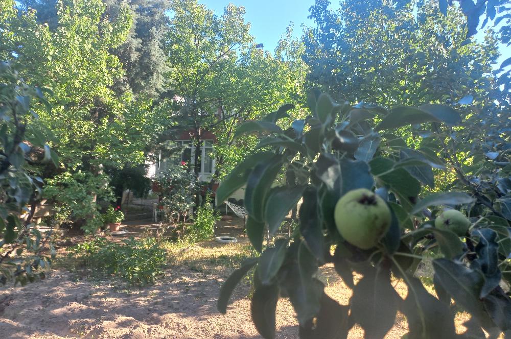 712 m2 ARSA ve MEYVE AĞAÇLARI İÇİNDE 3+1,140m2,DOĞALGAZ KOMBİLİ