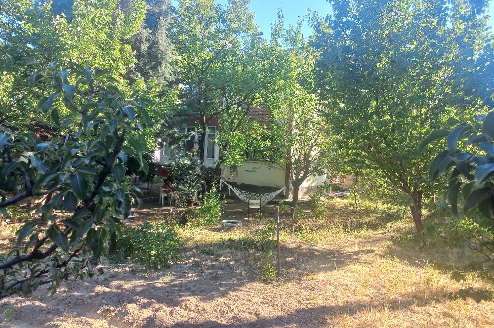 712 m2 ARSA ve MEYVE AĞAÇLARI İÇİNDE 3+1,140m2,DOĞALGAZ KOMBİLİ