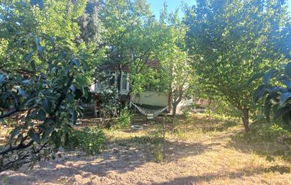 712 m2 ARSA ve MEYVE AĞAÇLARI İÇİNDE 3+1,140m2,DOĞALGAZ KOMBİLİ