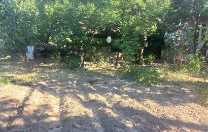 712 m2 ARSA ve MEYVE AĞAÇLARI İÇİNDE 3+1,140m2,DOĞALGAZ KOMBİLİ
