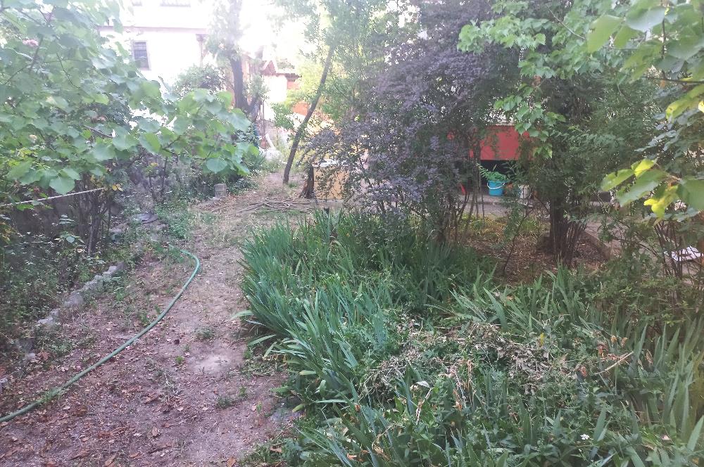 712 m2 ARSA ve MEYVE AĞAÇLARI İÇİNDE 3+1,140m2,DOĞALGAZ KOMBİLİ