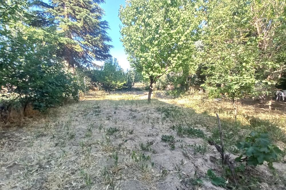 712 m2 ARSA ve MEYVE AĞAÇLARI İÇİNDE 3+1,140m2,DOĞALGAZ KOMBİLİ