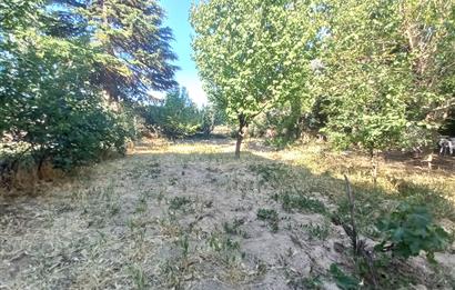 712 m2 ARSA ve MEYVE AĞAÇLARI İÇİNDE 3+1,140m2,DOĞALGAZ KOMBİLİ