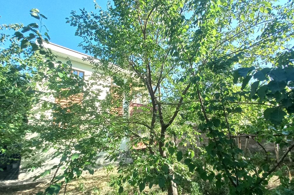 712 m2 ARSA ve MEYVE AĞAÇLARI İÇİNDE 3+1,140m2,DOĞALGAZ KOMBİLİ