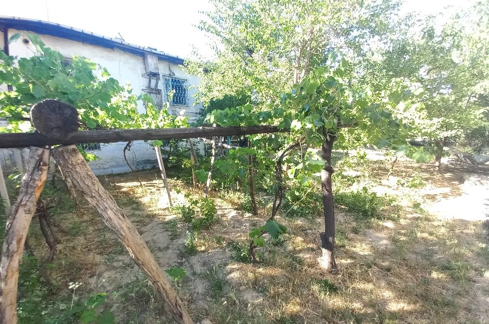 712 m2 ARSA ve MEYVE AĞAÇLARI İÇİNDE 3+1,140m2,DOĞALGAZ KOMBİLİ