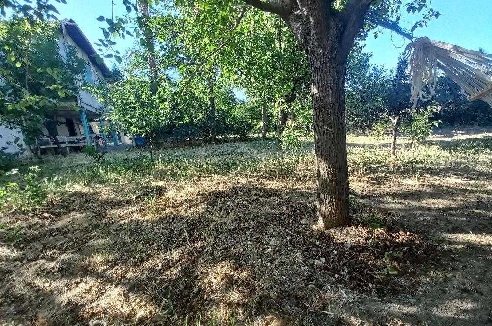 712 m2 ARSA ve MEYVE AĞAÇLARI İÇİNDE 3+1,140m2,DOĞALGAZ KOMBİLİ