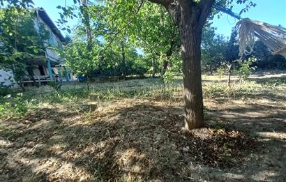 712 m2 ARSA ve MEYVE AĞAÇLARI İÇİNDE 3+1,140m2,DOĞALGAZ KOMBİLİ