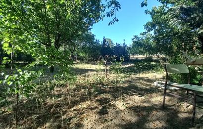 712 m2 ARSA ve MEYVE AĞAÇLARI İÇİNDE 3+1,140m2,DOĞALGAZ KOMBİLİ