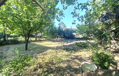 712 m2 ARSA ve MEYVE AĞAÇLARI İÇİNDE 3+1,140m2,DOĞALGAZ KOMBİLİ