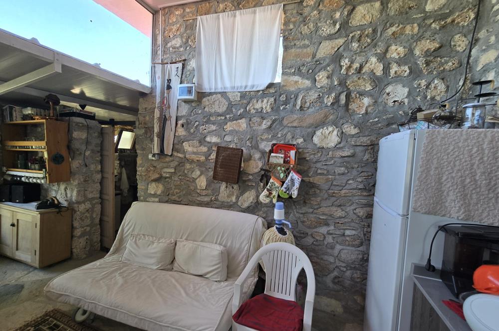 Milas Kuzyaka'da Altyapılı Satılık Yatırımlık Zeytinlik