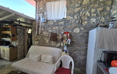 Milas Kuzyaka'da Altyapılı Satılık Yatırımlık Zeytinlik