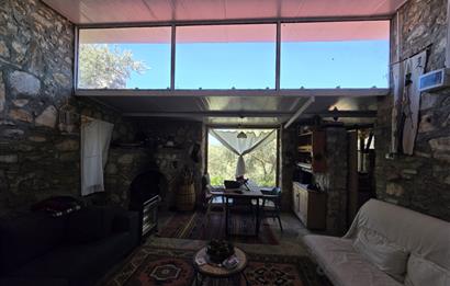 Milas Kuzyaka'da Altyapılı Satılık Yatırımlık Zeytinlik