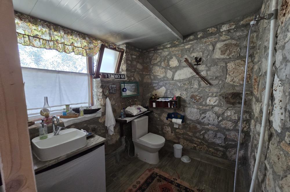 Milas Kuzyaka'da Altyapılı Satılık Yatırımlık Zeytinlik