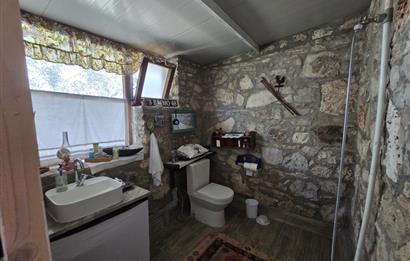 Milas Kuzyaka'da Altyapılı Satılık Yatırımlık Zeytinlik