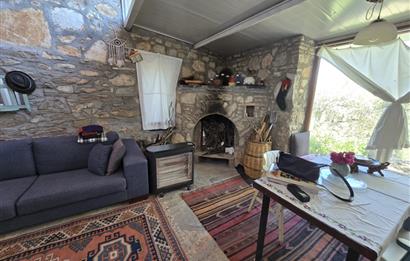 Milas Kuzyaka'da Altyapılı Satılık Yatırımlık Zeytinlik